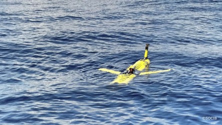 Research Infrastructure Used